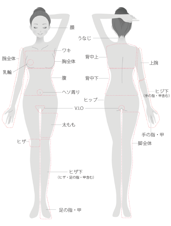 アレキサンドライトレーザーでの医療脱毛は脱毛効果の持続が高く男性のヒゲ脱毛にも最適です。